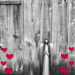 Meet your Posher, Debra